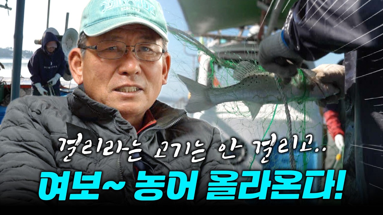 “조황은 별로라더니 농어에 우럭까지 실하네~! 걸리라는 숭어만 빼고 다 나옵니다..ㅎㅎ”