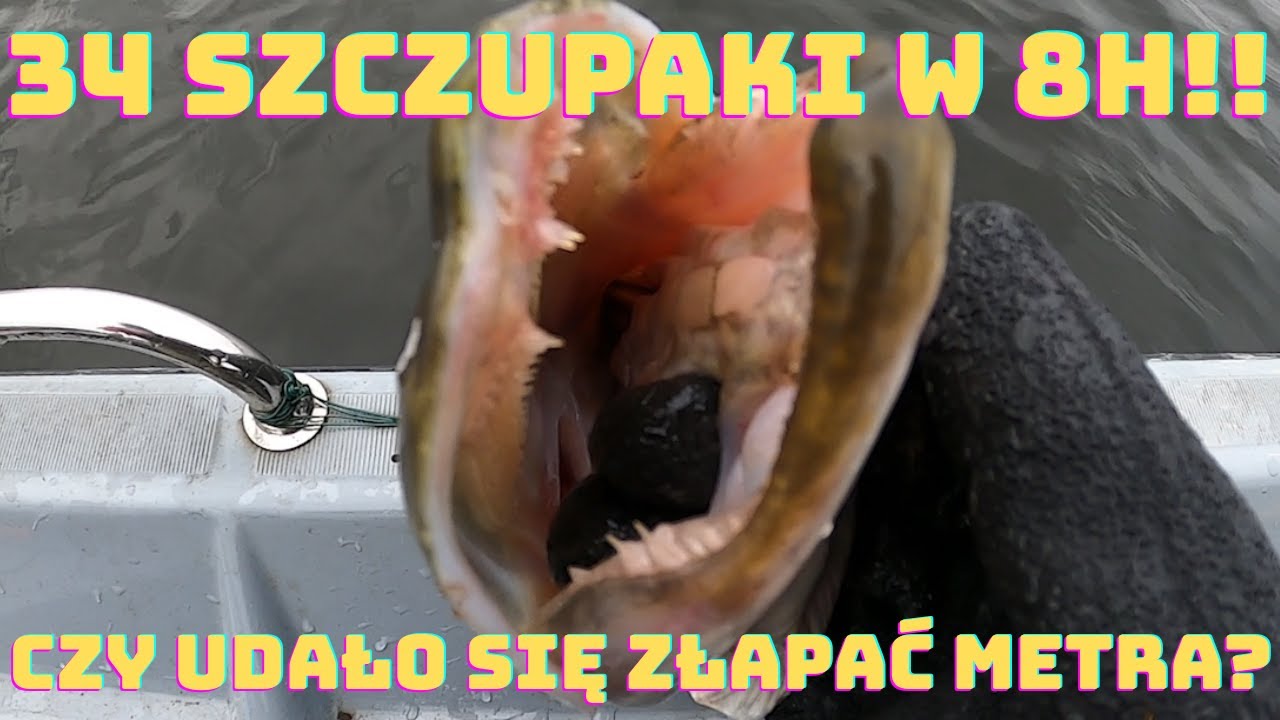 33 szczupaki w 8 godzin !! W pogoni za metrowym szczupakiem
