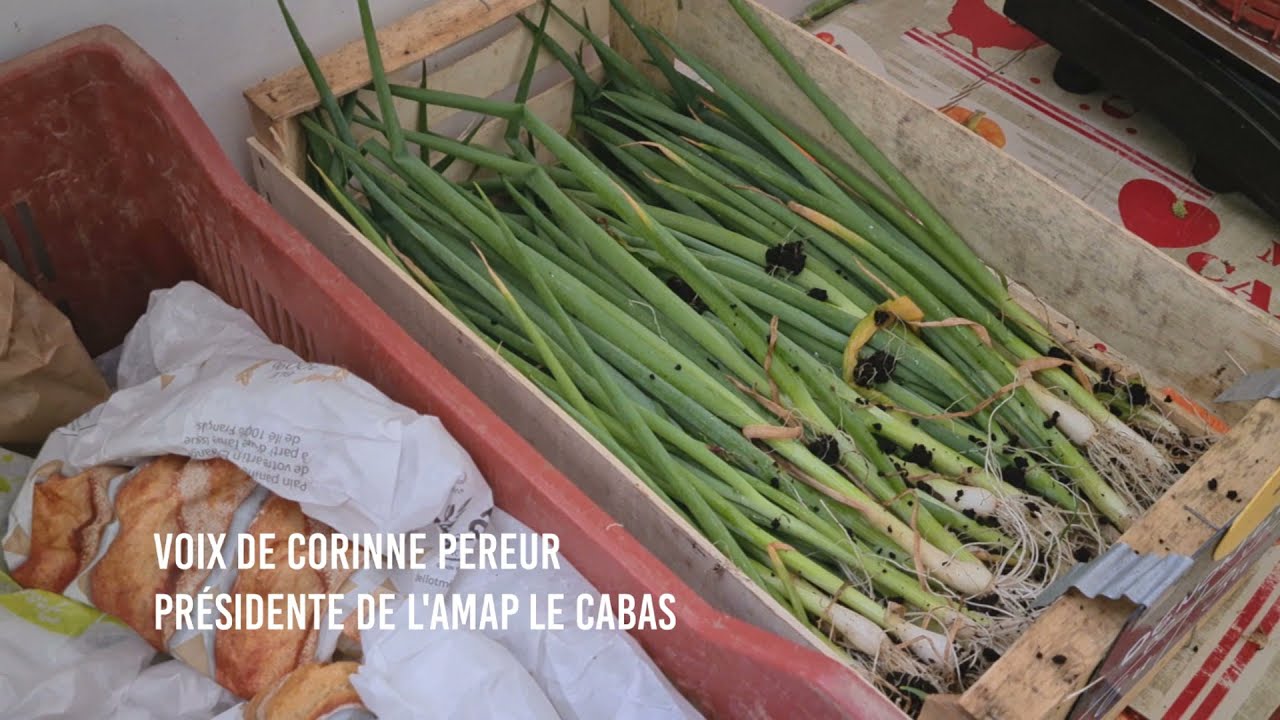 Les AMAPS, pour manger local et responsable