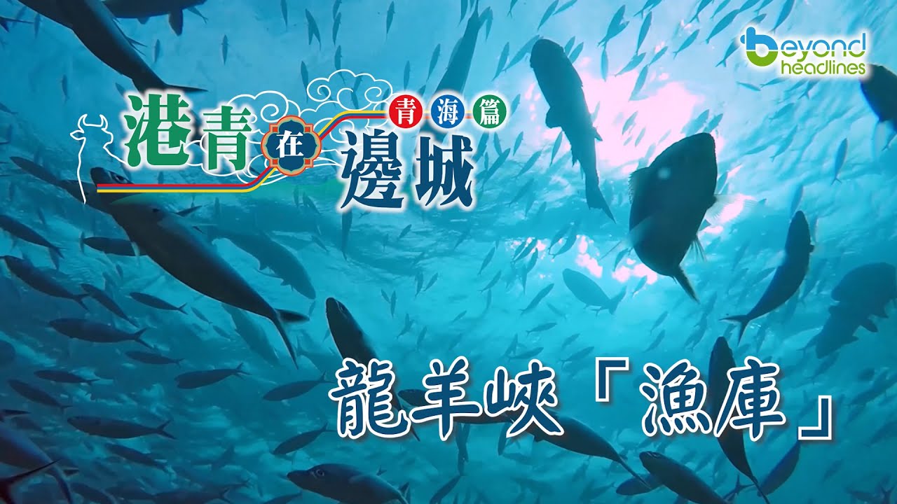 【短片】【港青在邊城】青海篇 第三集：龍羊峽「漁庫」