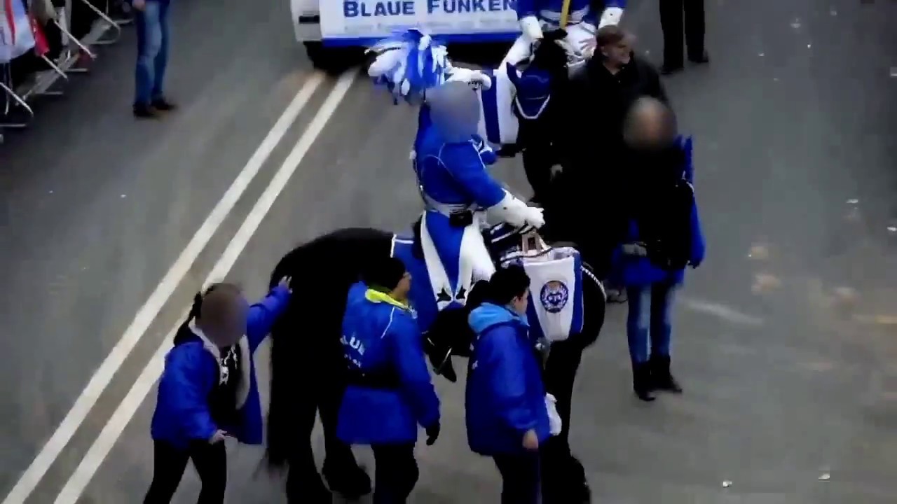 Pferde im Kölner Rosenmontagszug 2017/18