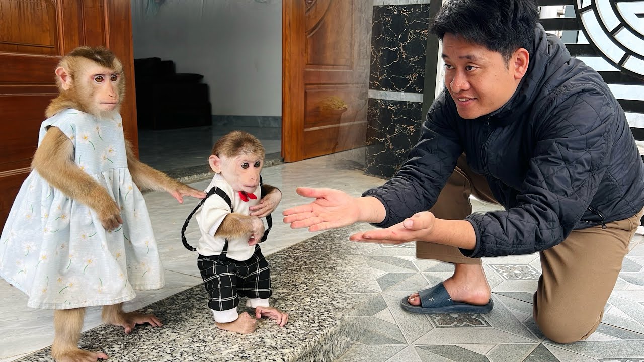 The two little monkeys, Tina and Xuka , happily hugged Uncle Tuan when he came to visit.