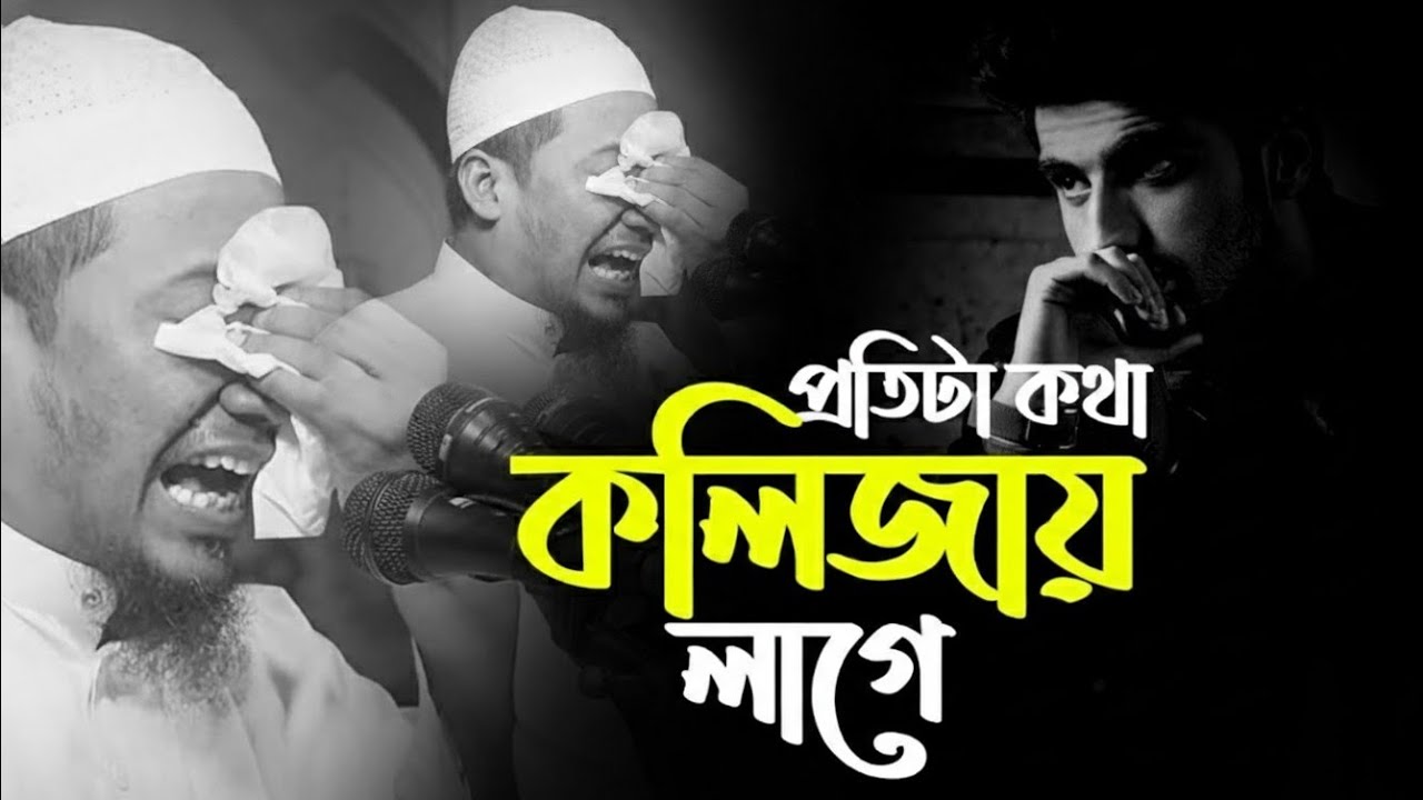 রমজানের আগে ওয়াজ টি একবার শুনুন। মাওলানা আনিসুর রহমান আশরাফী 