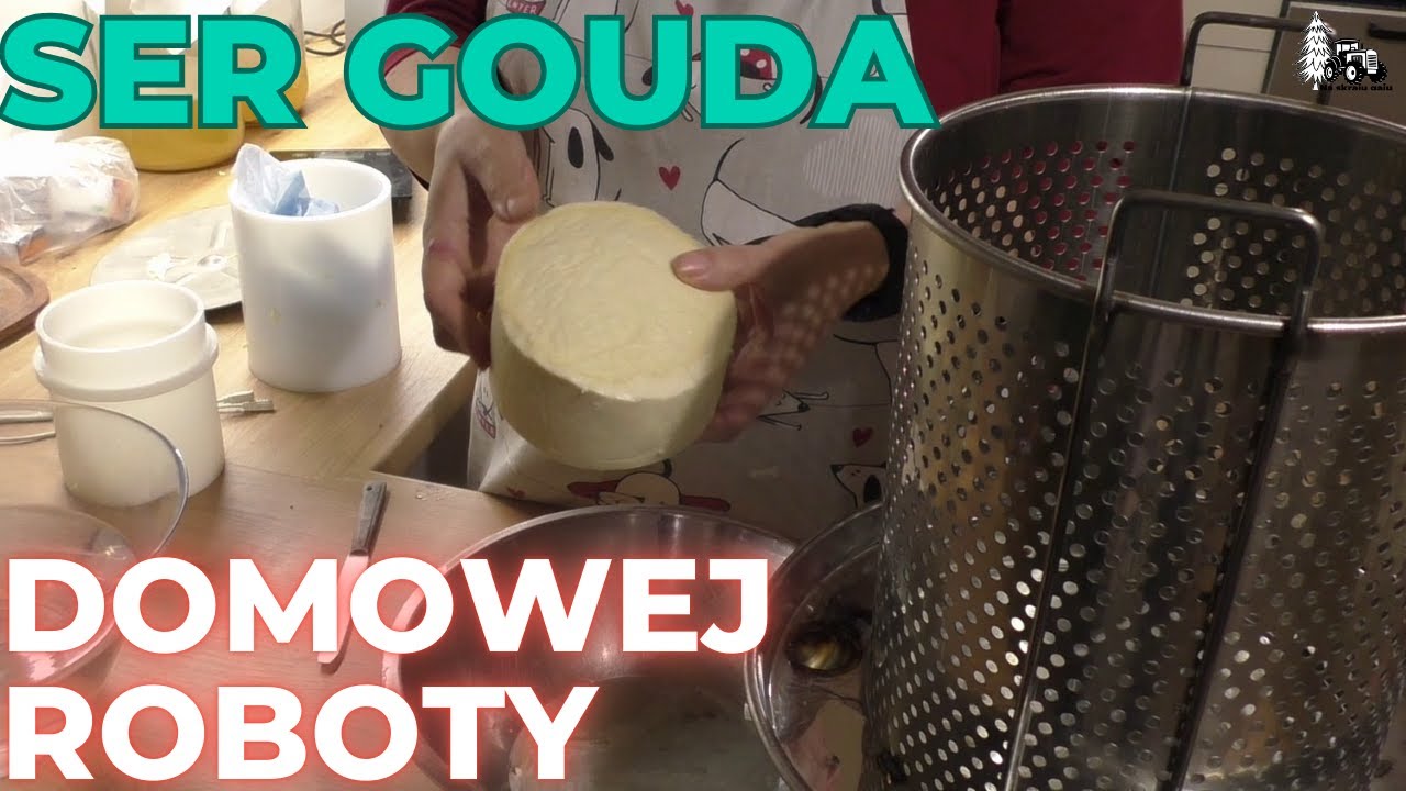Domowy ser gouda