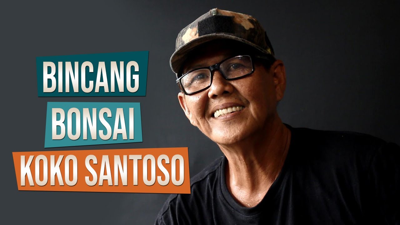 Apa Itu Bonsai? Bersama Pak Koko Santoso -