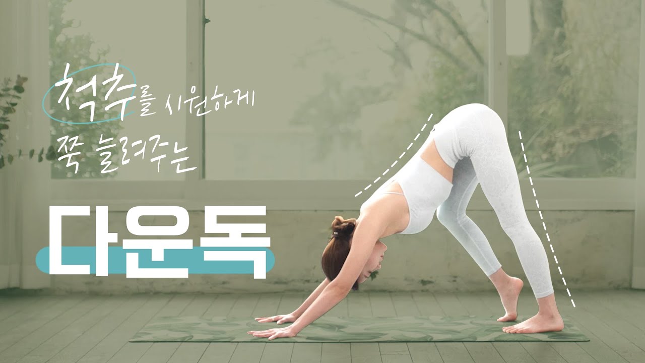 안전하게 요가자세 완성하기/ 전신순환/스트레칭/피크포즈 수련