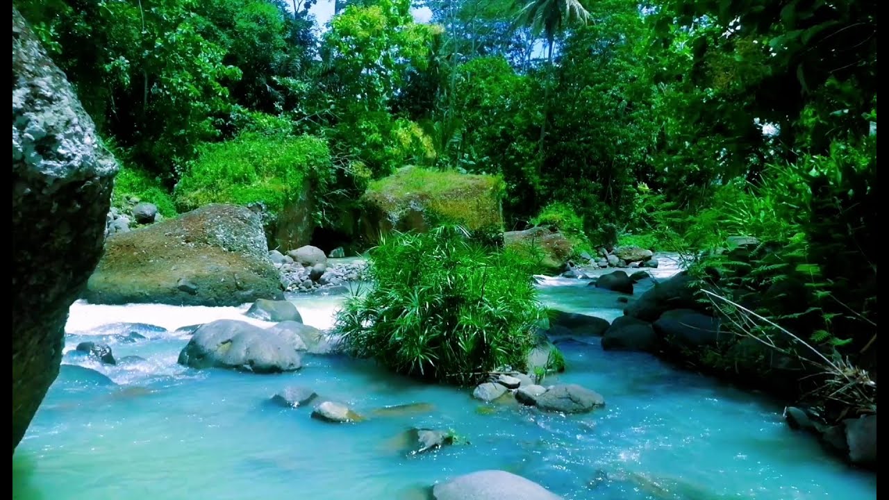 Tranquil River Ambience – Soft Stream and Forest Sounds for Deep Sleep and Inner Peace
