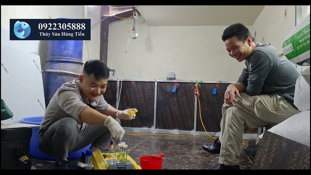 Nuôi cá chình trong mô hình bể tuần hoàn đối diện với vô vàn khó khăn | Thuỷ sản Hùng Tiến