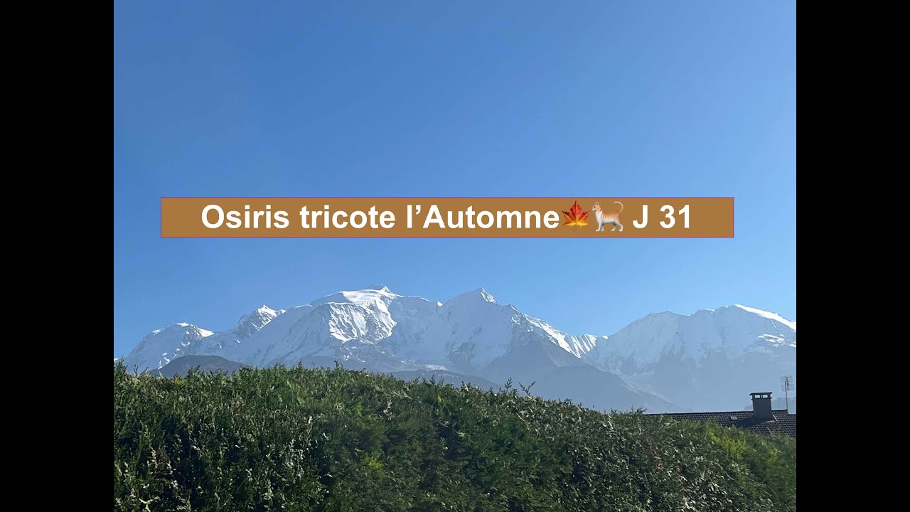 Osiris tricote l'Automne🍁🐈 J 31