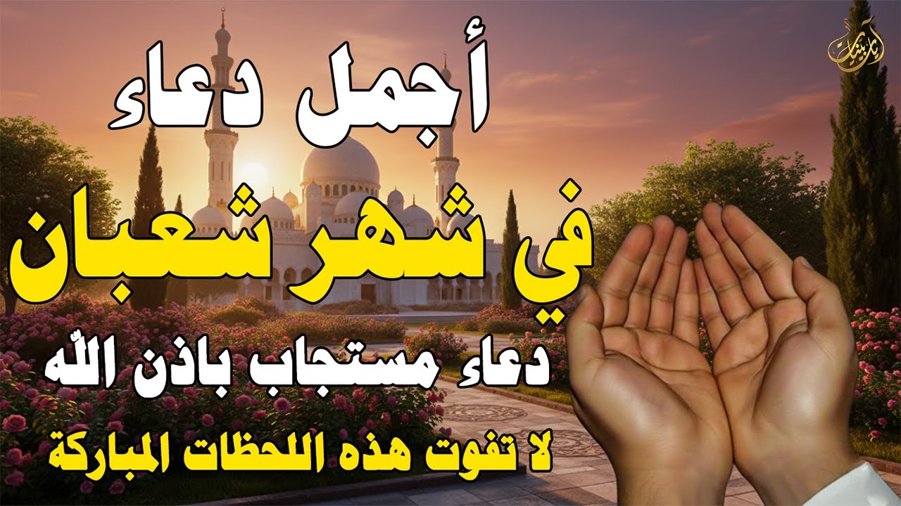 دعاء فى يوم الثلاثاء المستجاب دعاء في يوم 8 من شهر شعبان للرزق والشفاء العاجل وقضاء الحوائج 🤲(4k)