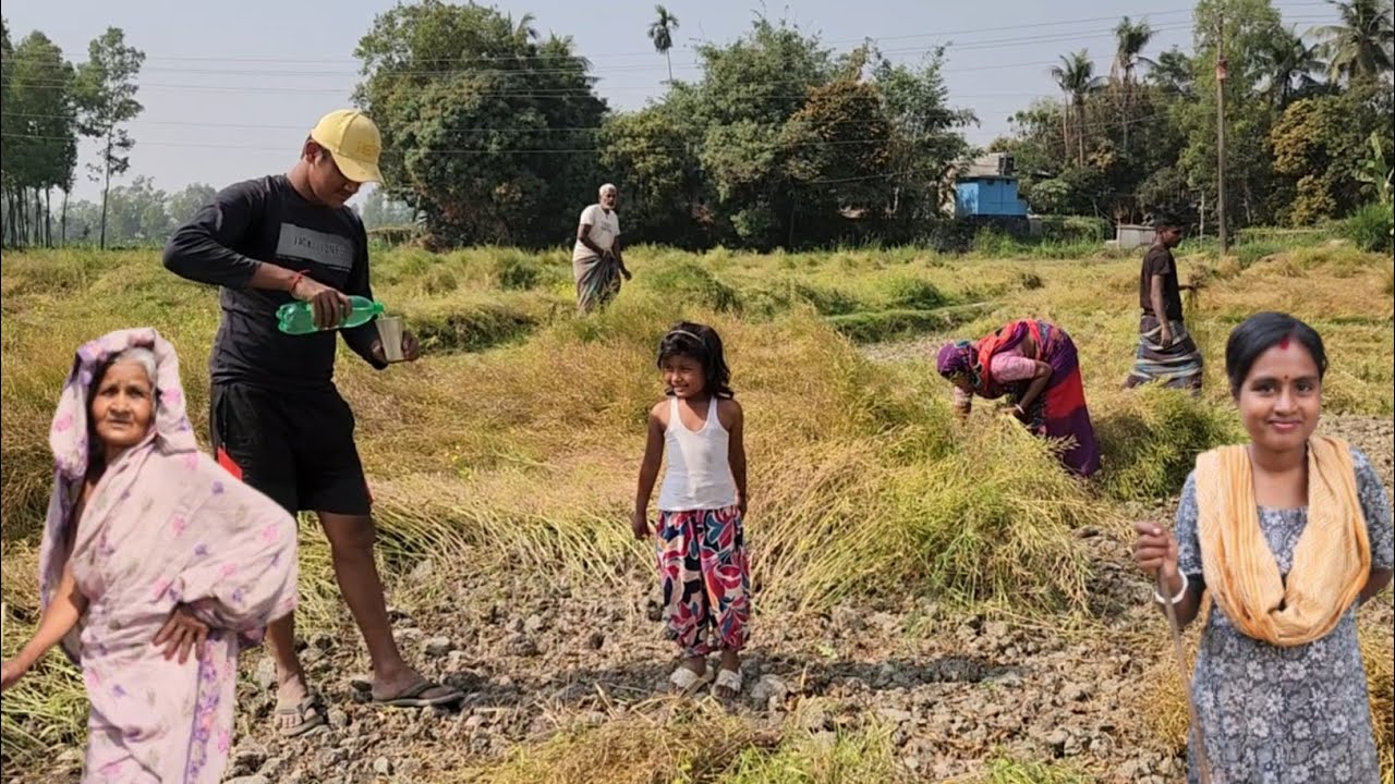আজ কাজ করতে করতে সুজনদার বিয়ে ঠিক করে ফেললাম। village farmer life
