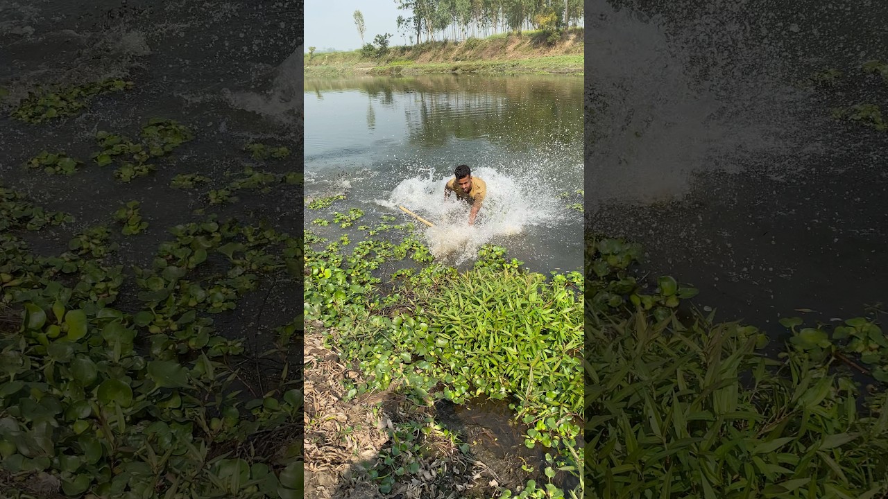 Big Bite in Shallow Water 