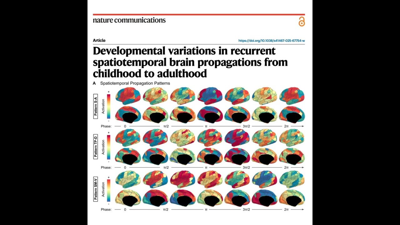 598-Brain Propagations from Childhood to Adulthood