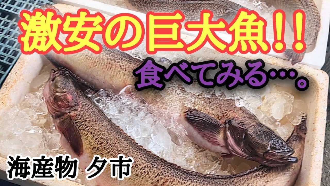【北海道】白老『海産物夕市』見向きもされない巨大魚！！そのお味は!?