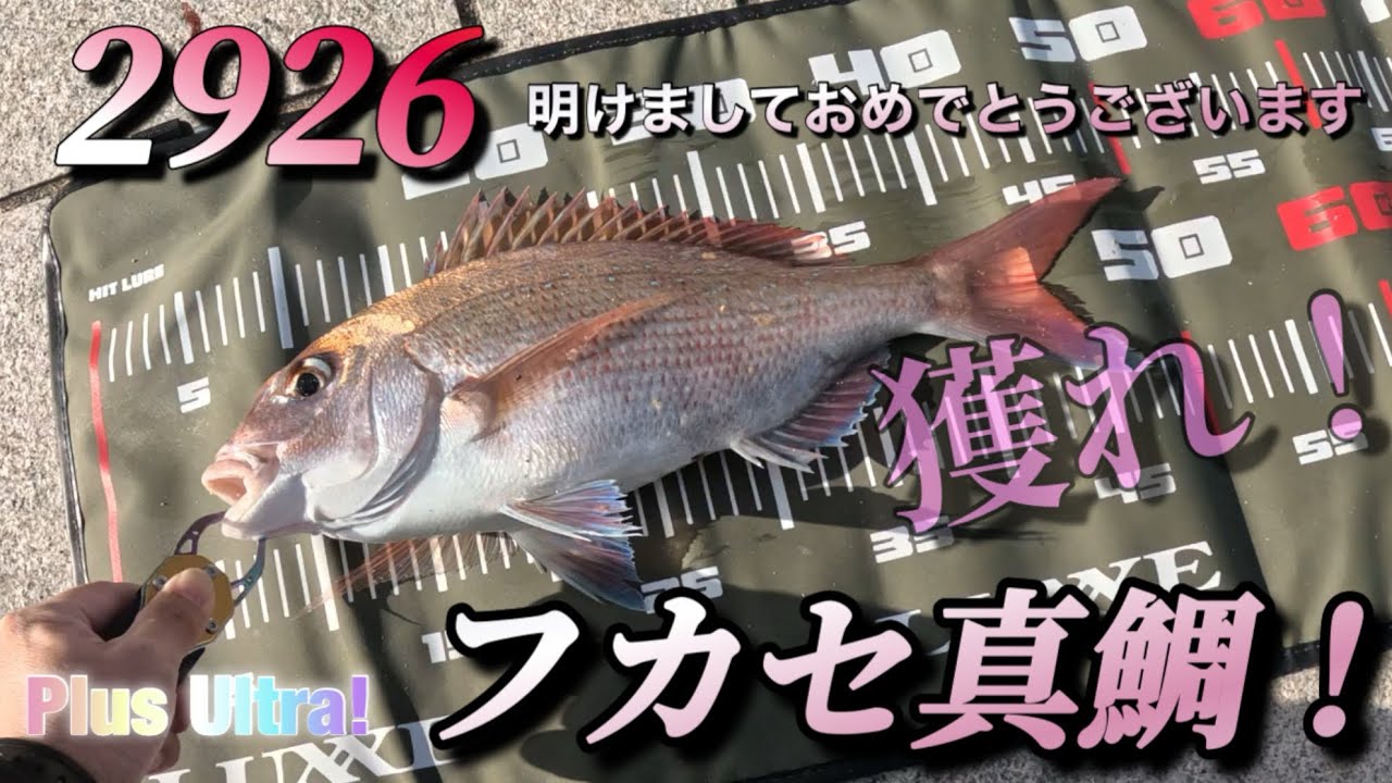 【フカセ釣り】有名堤防から渾身のフカセ釣り！真鯛を獲れ！#fishing #堤防釣り 