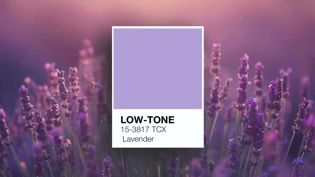 Lavender | Calm Lofi Beats for Gentle & Dreamy Vibes