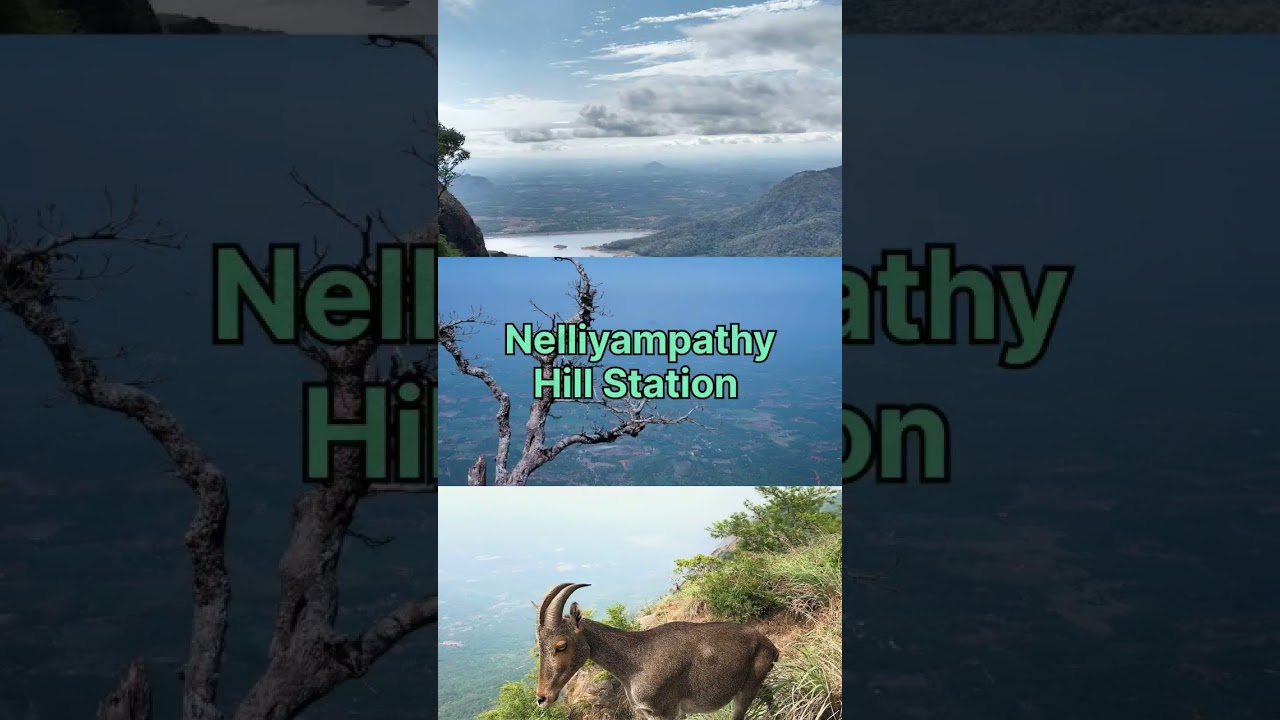 7 Must Visit Places in Palakkad | Best Places to Visit in Palghat Kerala #lifefortravell