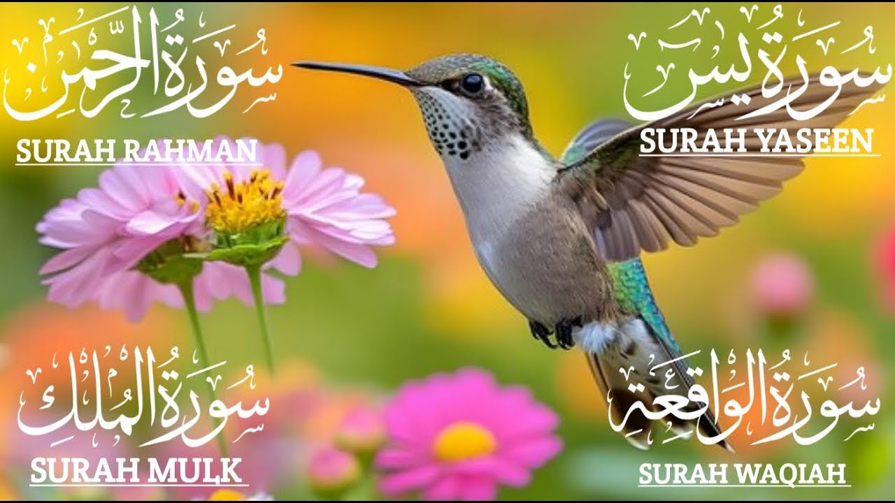 سورة يس،الرحمن، الواقعة،الملك بصوت جميل هادئ مريح للقلب استمع بنية الرزق والبركة وتيسيرالأمور#quran