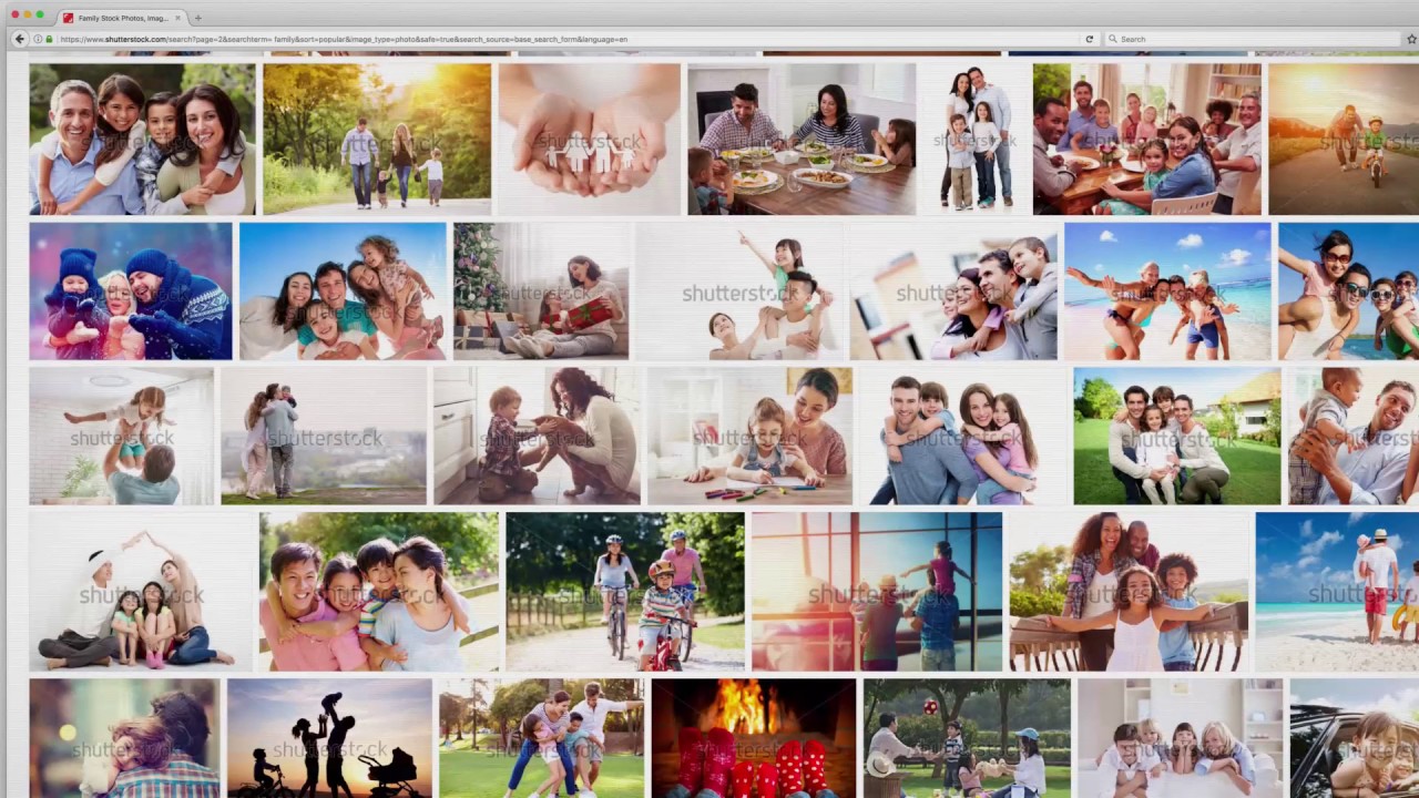 Let's talk about your search algorithm, Shutterstock?
