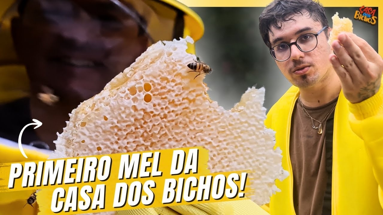 A PRIMEIRA PRODUÇÃO DE MEL DA CASA DOS BICHOS!