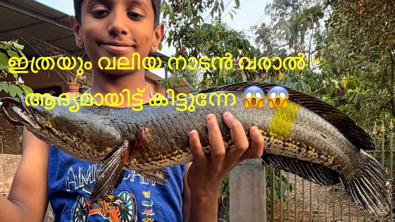 Crossbow വച്ചു പിടിച്ച മീനിന്റെ വലിപ്പം kando😱😱😱#arapaima #fishspecies #fishing #freshwaterfish 