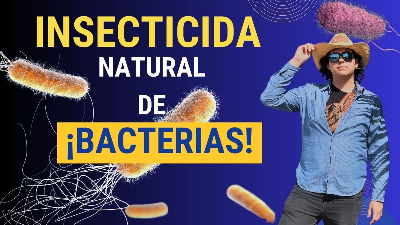 INSECTICIDA A BASE DE BACTERIAS
