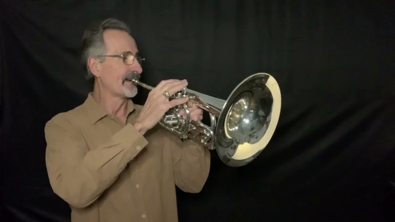 2002 Bach 1105TH Marching Mellophone in the key of F.  This horn is actually a Yamaha stencil. ￼