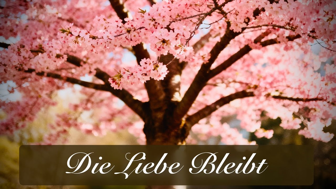 Die Liebe Bleibt