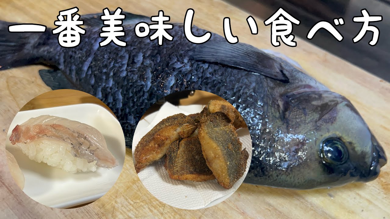 グレは〇〇で食べるのが一番美味い！？