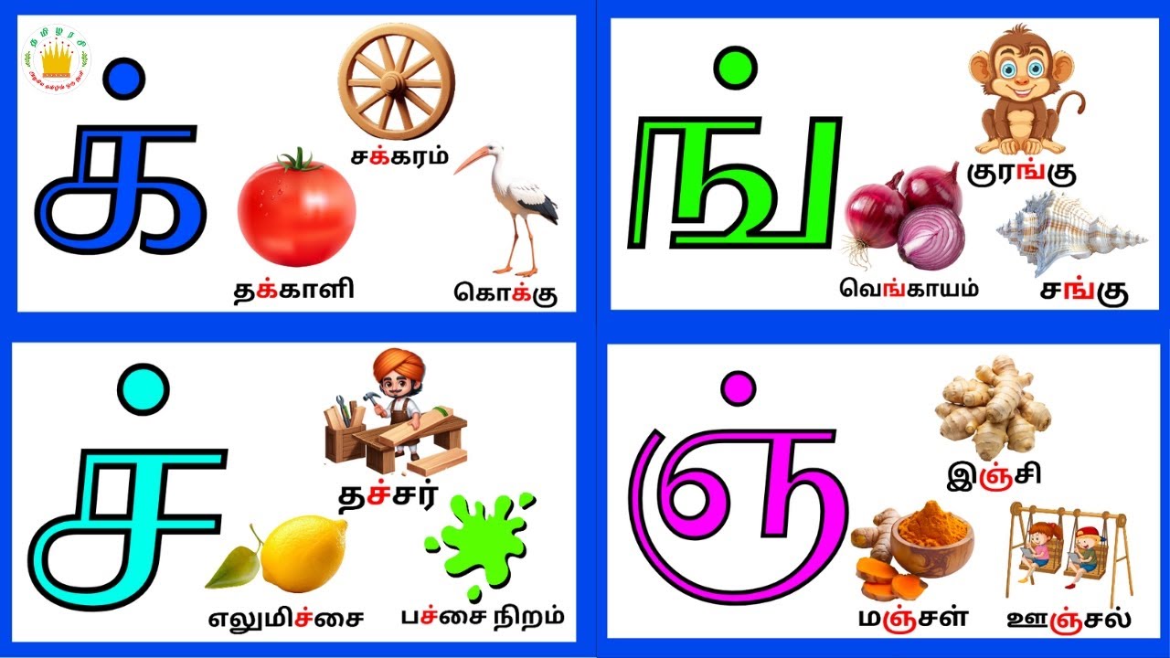மெய் எழுத்துக்கள்(க் -ன் ) |Mei Eluthukkal | Tamil Letters| Tamilarasi