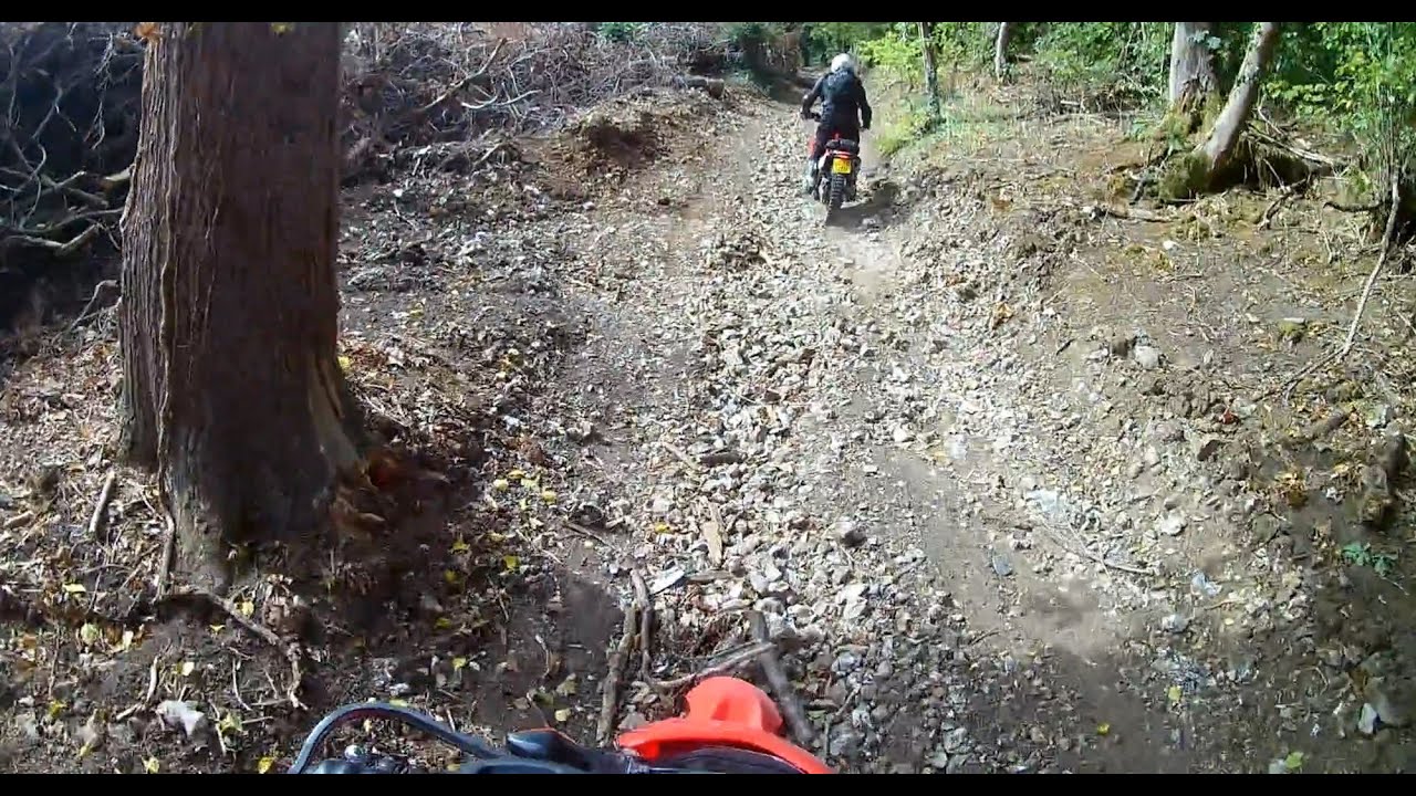 Level 1 Trail Riding day with Phoenix Motorcycles in Sidcup, Kent