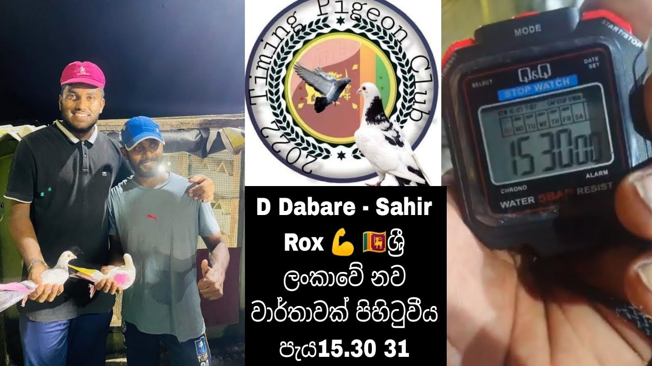 2022 Timing pigeons Club (D Dabare - Sahir Rox) ශ්‍රී ලංකාවේ පරවි පියාසර  තරඟයක පිහිටවූ නවතම වාර්තාව