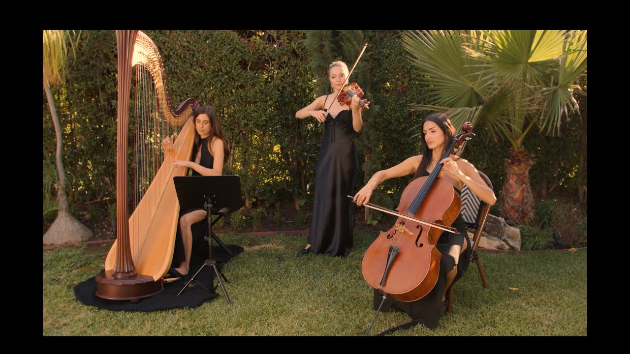 BLITZ NATION - Belle Trio - “Halo” (Beyoncé) | Harp • Cello • Violin