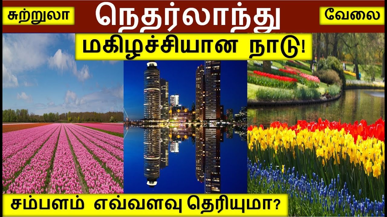 சந்தோசமாக வாழ நெதர்லாந்து| Netherlands jobs in Tamil|Netherlands tour in tamil|foreign jobs in tamil