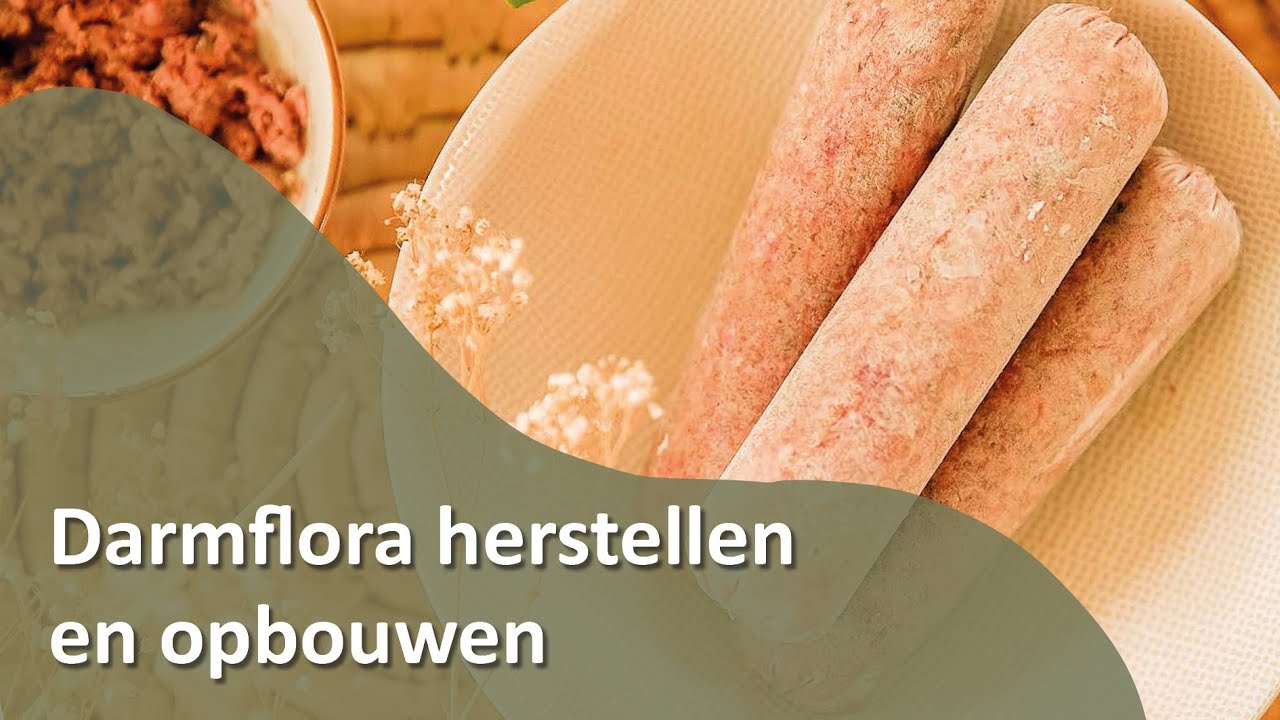 DARMFLORA HERSTELLEN EN OPBOUWEN - Honden TV S02E05