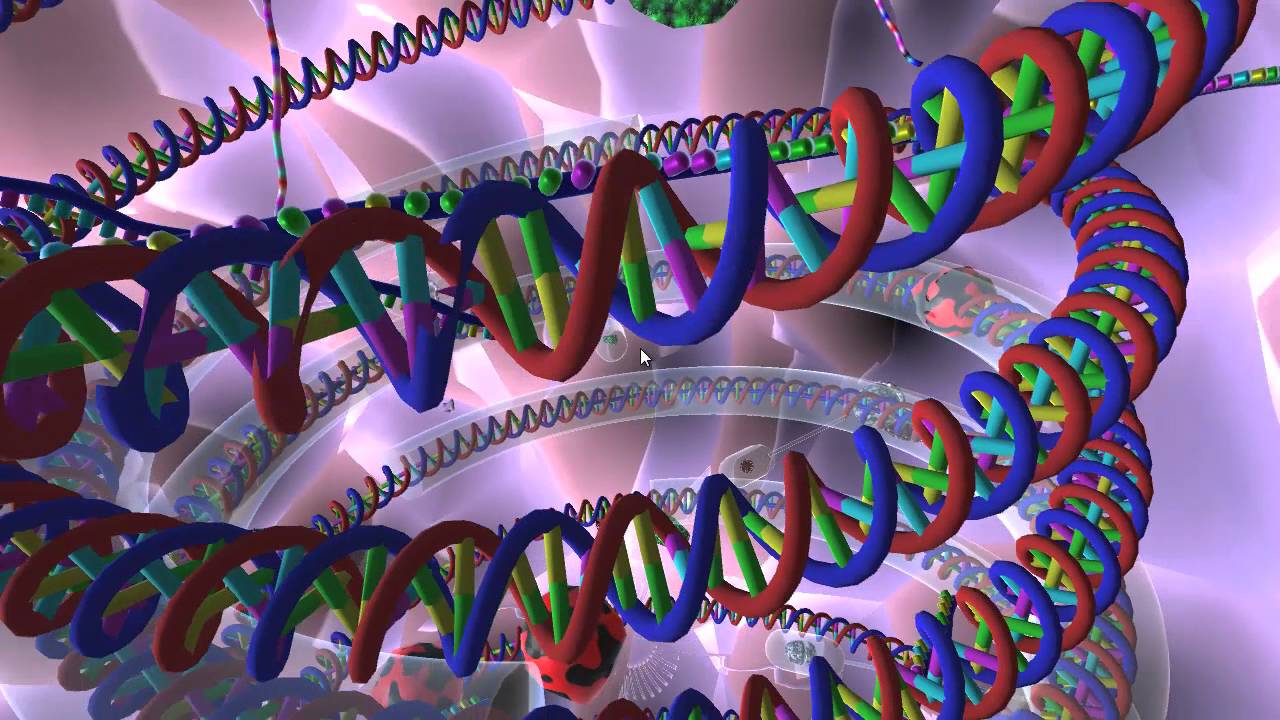 Chaperonins & polypeptides