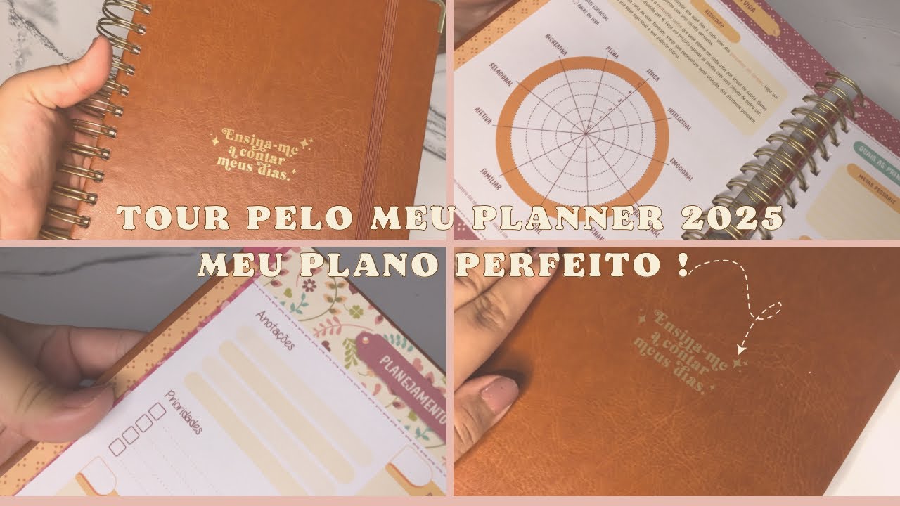 Tour Pelo Planner escolhido para 2025 ! Meu plano perfeito 📒🤎#planner #planner2025 #planoperfeito