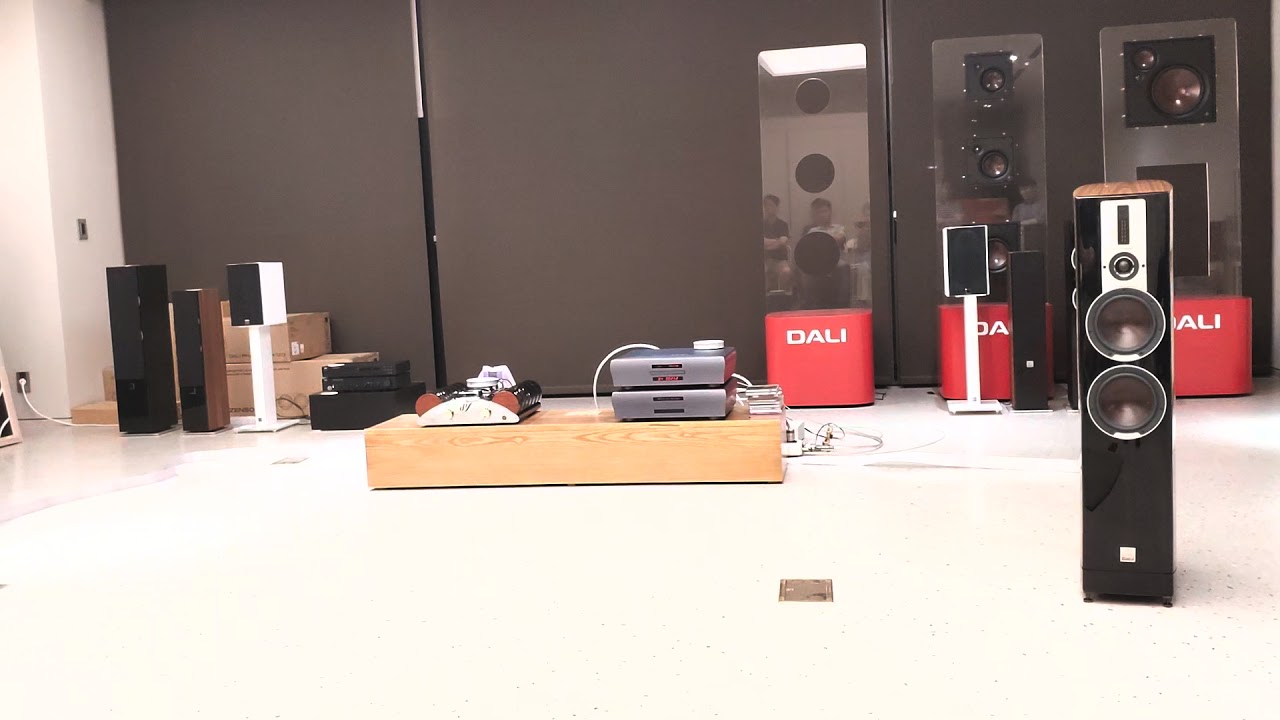 01 DALI Epicon 8 + EAR YOSHINO V12 + Playback MPT8 & MPD8