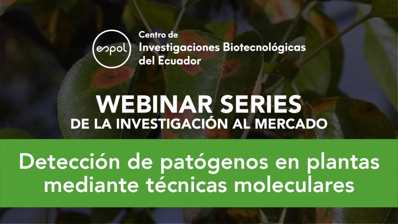Webinar: Detección de patógenos en plantas mediante técnicas moleculares
