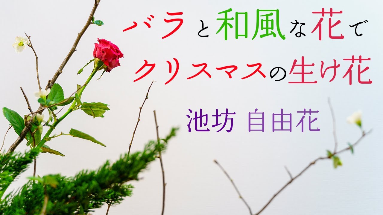 生け花は日本の伝統文化だからクリスマスも和風な花で生けたい│水盤に剣山なしで生ける池坊 自由花│初心者向け解説付き│バラ・イブキ・木瓜。