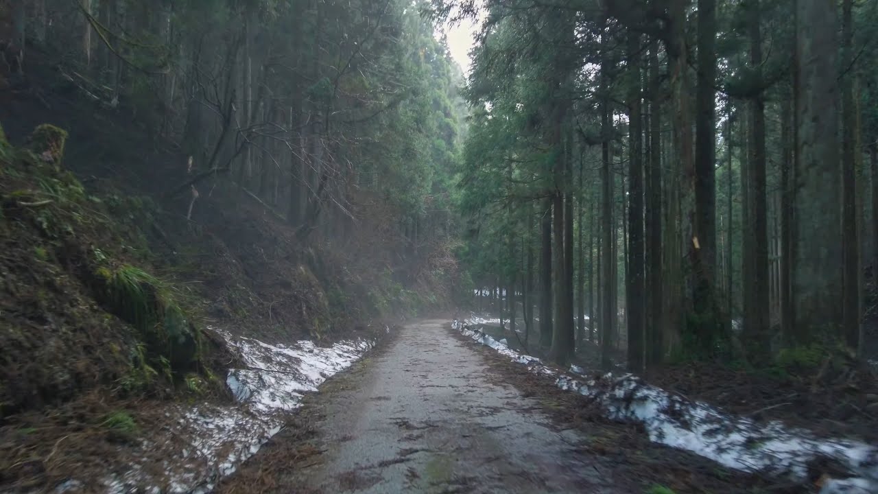 🇯🇵 福井サイクリング: 越前の山間部、美山町羽生地区を自転車で探索する [4K]