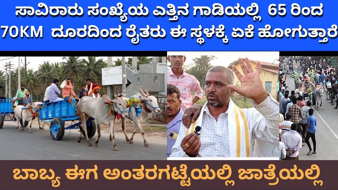 ಸಾವಿರಾರು ಸಂಖ್ಯೆಯ ಎತ್ತಿನ ಗಾಡಿಯಲ್ಲಿ 65 ರಿಂದ 70 ಕಿಲೋಮೀಟರ್ ದೂರದಿಂದ ರೈತರು ಈ ಸ್ಥಳಕ್ಕೆ ಏಕೆ ಹೋಗುತ್ತಾರೆ#bull