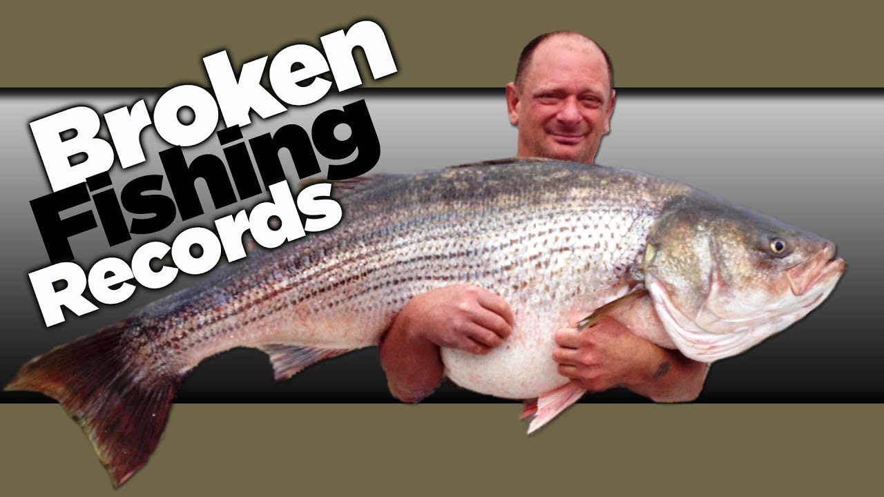 Missouri Record Fish Stories -  Striped Bass