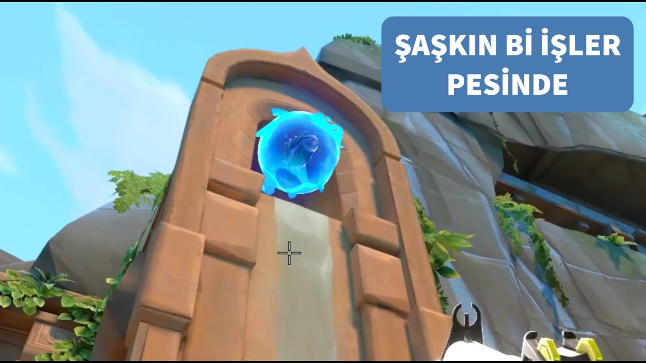 ŞAŞKINIM TERBİYESİZLİK YAPIYOR