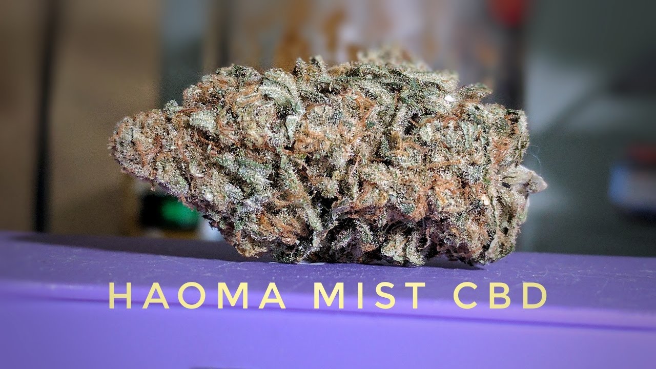 Strain Review - Hmt - Haoma Mist CBD - MMJ Total Health Care