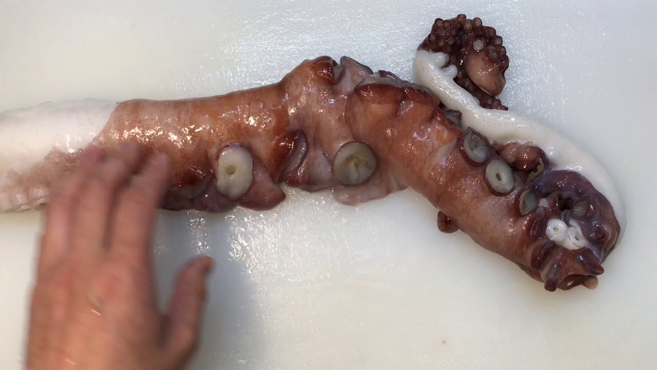 【プロ直伝】 板前が教える！水タコの下処理から刺身の作り方から盛り付けのコツまで