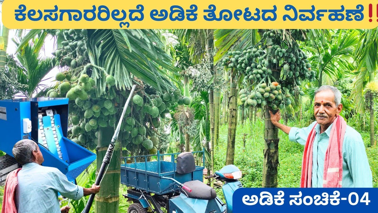10 ವರ್ಷದಿಂದ ತೋಟಕ್ಕೆ ಕೆಲಸಗಾರರನ್ನು ಕರೆದಿಲ್ಲ‼️ ಶಂಕರನಾರಾಯಣ ಭಟ್ 💥ಕೃಷಿಯ ಯಶಸ್ಸಿಗೆ 8 ಸೂತ್ರಗಳು  @ಬೆಳ್ತಂಗಡಿ