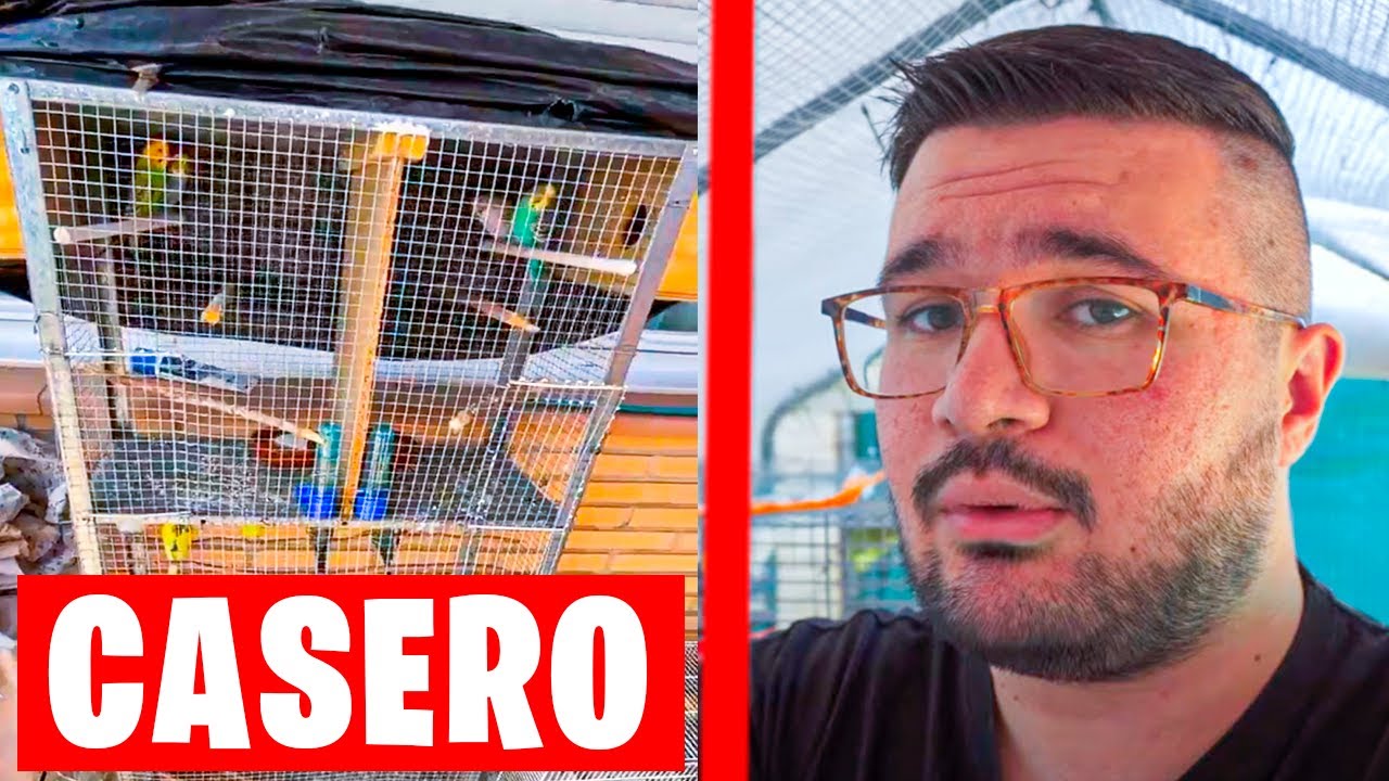 COMO HACER UNA VOLADERA CASERA