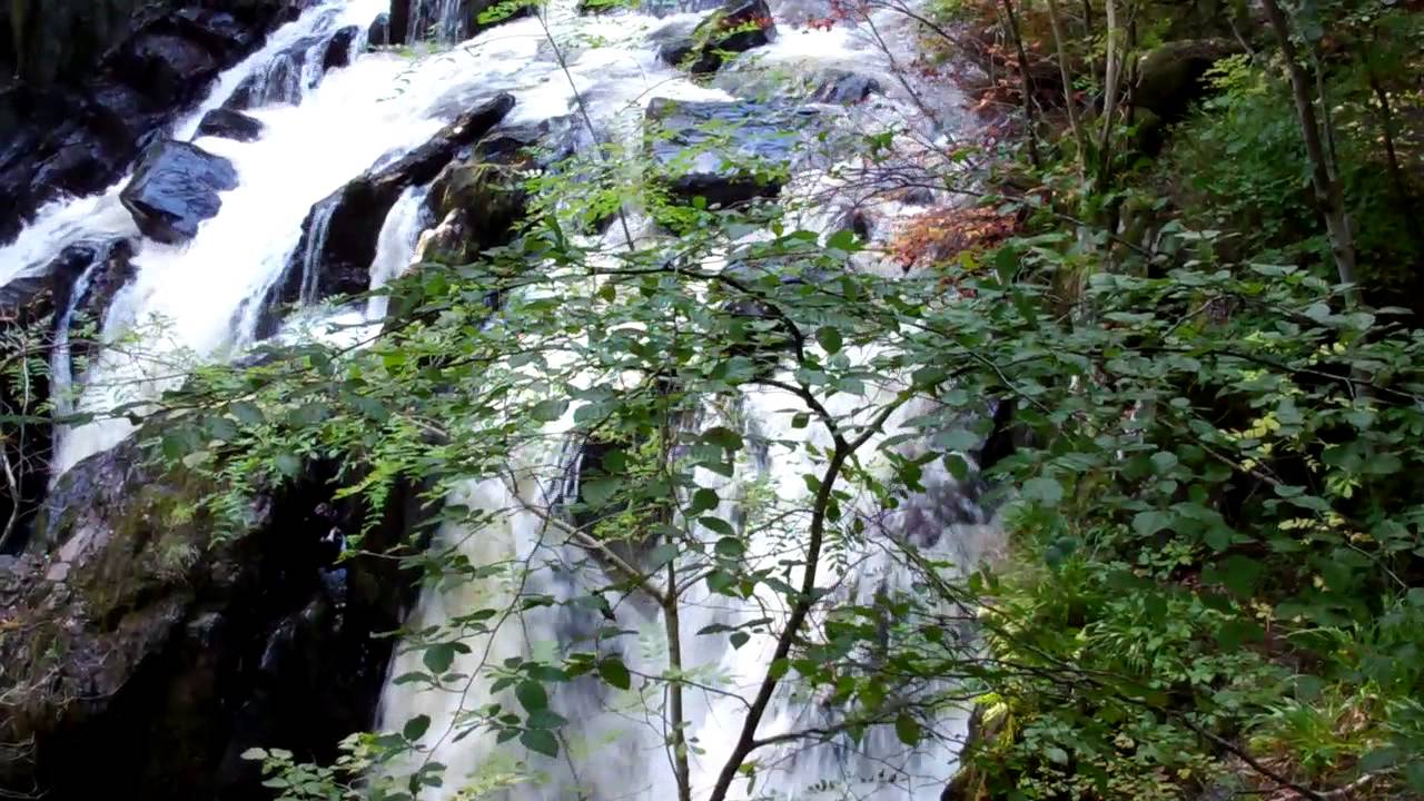 The Hermitage Waterfall By Dunkeld Perthshire Scotland October 7th