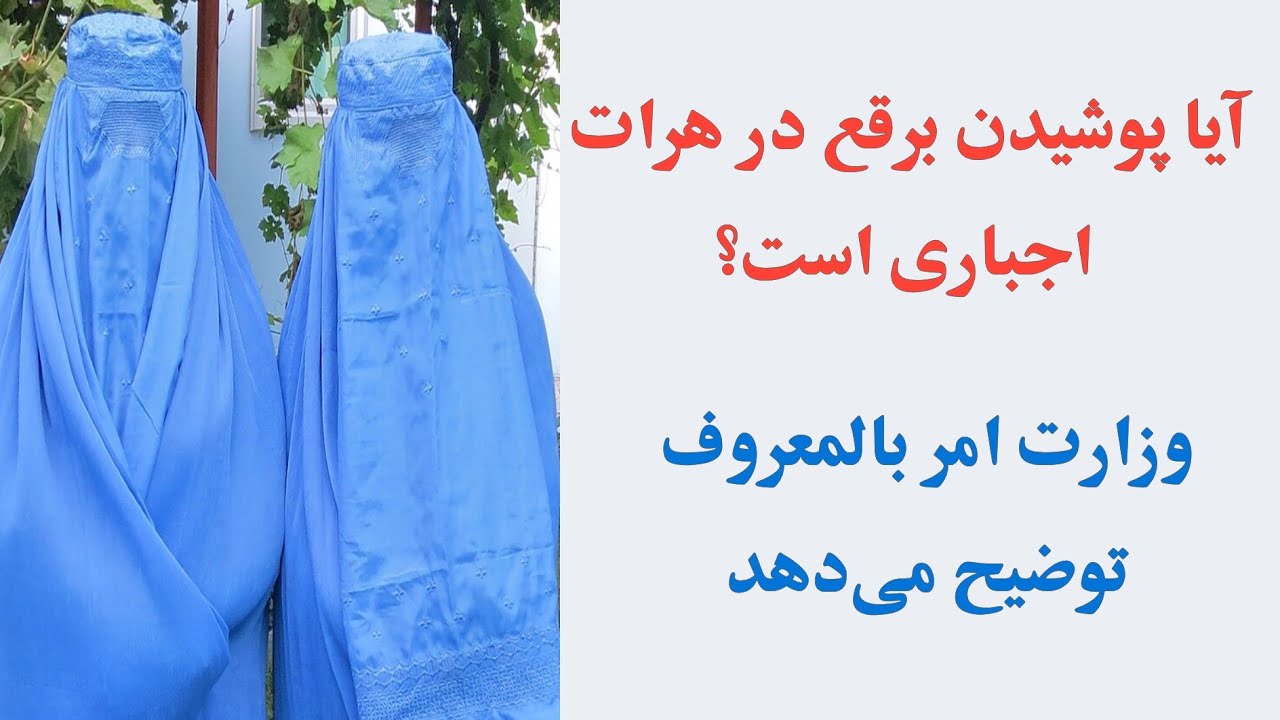 جزییات تازه درباره پوشیدن برقع از سوی زنان در هرات از زبان سخنگوی وزارت امر بالمعروف 